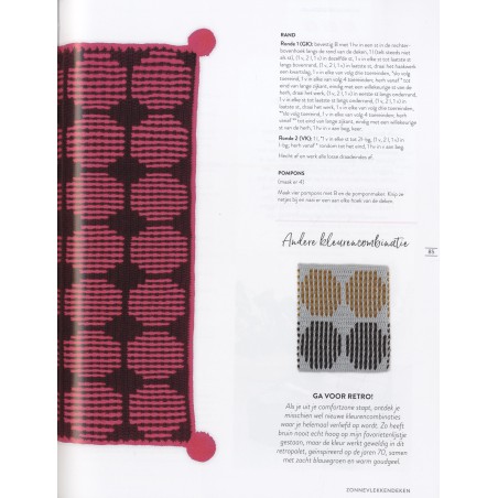 Workshop mozaïekhaken