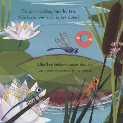 In het water - voor kleine ontdekkingsreizigers