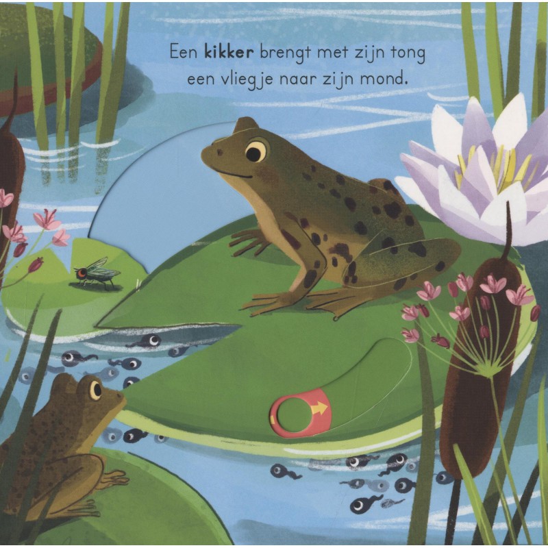 In het water - voor kleine ontdekkingsreizigers