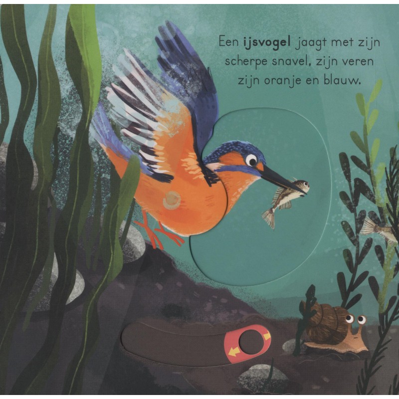 In het water - voor kleine ontdekkingsreizigers