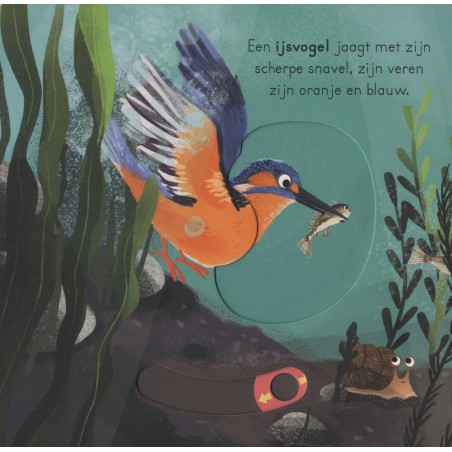 In het water - voor kleine ontdekkingsreizigers