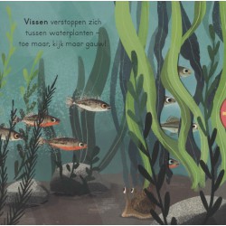 In het water - voor kleine ontdekkingsreizigers