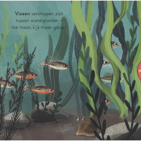 In het water - voor kleine ontdekkingsreizigers