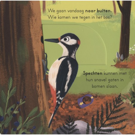 In het bos - voor kleine ontdekkingsreizigers