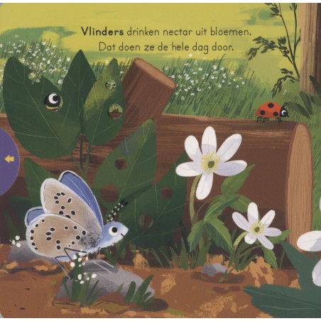 In het bos - voor kleine ontdekkingsreizigers