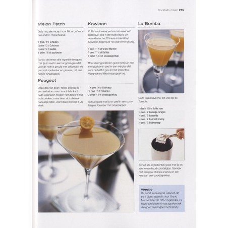 De cocktailbijbel