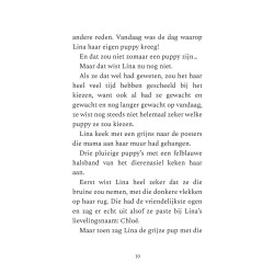 Lina en het huisdierdraakje