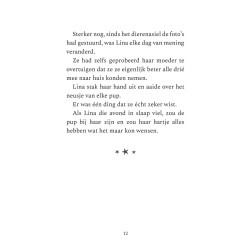 Lina en het huisdierdraakje