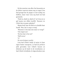 Lina en het huisdierdraakje