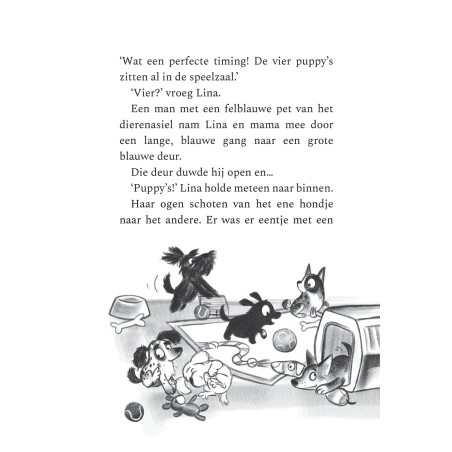 Lina en het huisdierdraakje