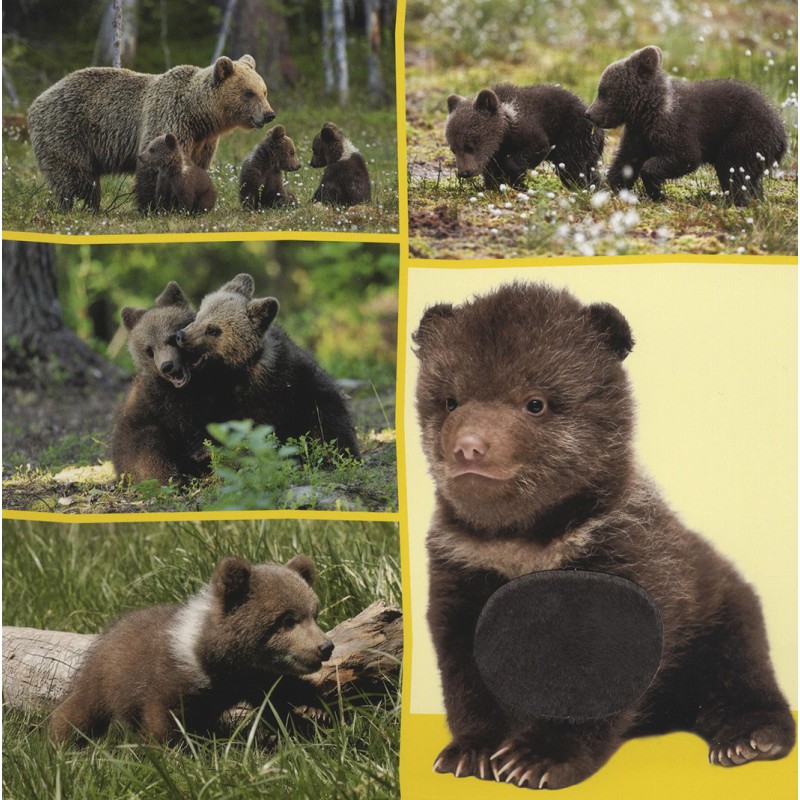 Welk dier hoor ik hier? - Babydieren