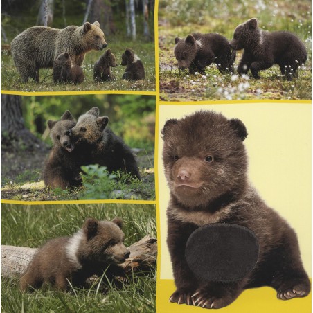 Welk dier hoor ik hier? - Babydieren