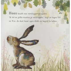 Haas, Uil & Vos spelen verstoppertje