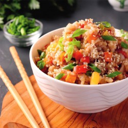 500 vegetarische BBQ gerechten