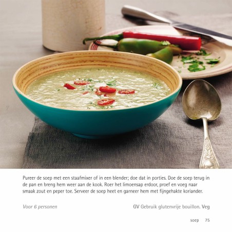 500 vegetarische BBQ gerechten