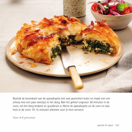 500 vegetarische BBQ gerechten