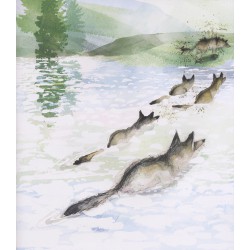 Kleine Wolf maakt zich zorgen
