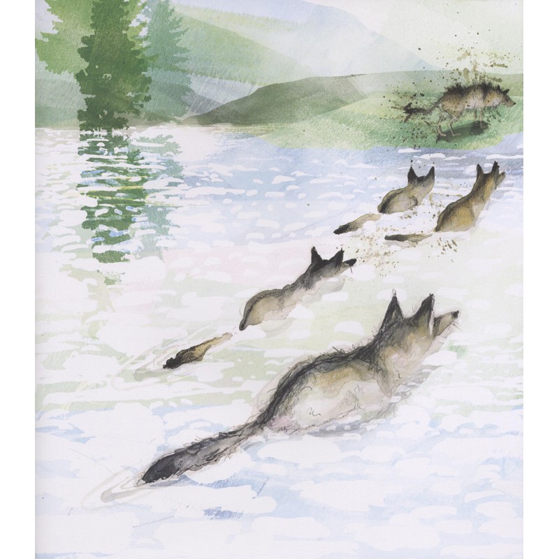 Kleine Wolf maakt zich zorgen