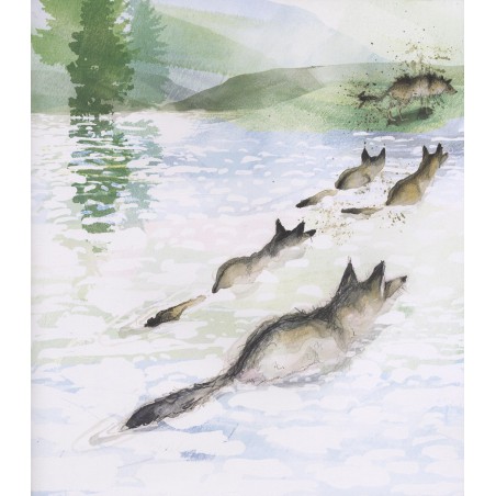 Kleine Wolf maakt zich zorgen