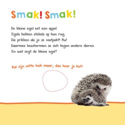 Welk dier hoor ik hier? - in de natuur