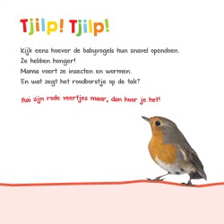 Welk dier hoor ik hier? - in de natuur