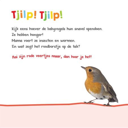 Welk dier hoor ik hier? - in de natuur
