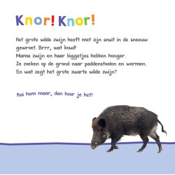 Welk dier hoor ik hier? - in het bos