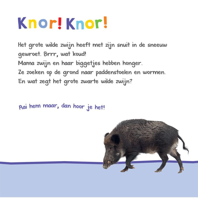 Welk dier hoor ik hier? - in het bos