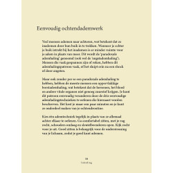 Ochtendmeditaties