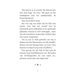 Lina en het knorrige draakje