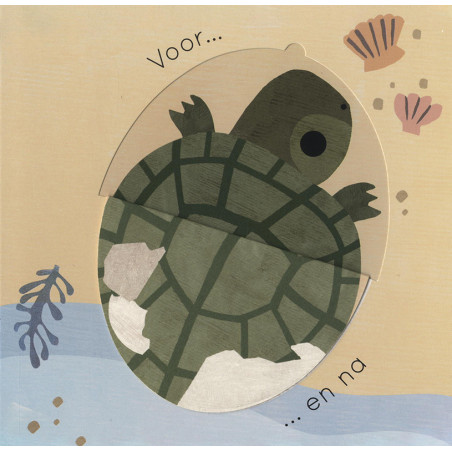 Groot en Klein, een boek vol tegenstellingen