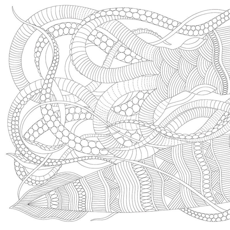 Kleurboek Millie Marotta - Briljante beesten