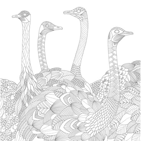 Kleurboek Millie Marotta - Briljante beesten