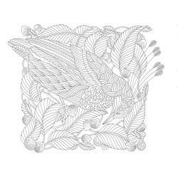 Kleurboek Millie Marotta - Duizelingwekkend dierenrijk