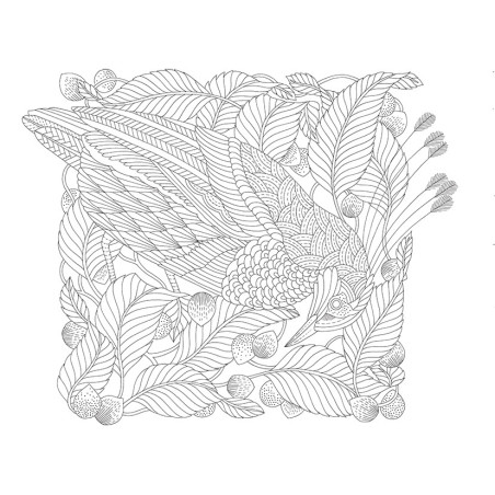 Kleurboek Millie Marotta - Duizelingwekkend dierenrijk