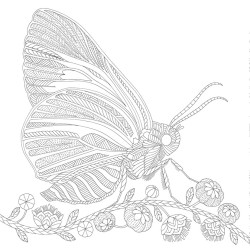 Kleurboek Millie Marotta - Duizelingwekkend dierenrijk