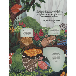 Zoek & vind - in het bos