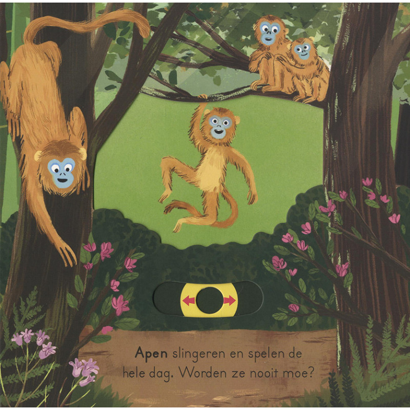 In de jungle - voor kleine ontdekkingsreizigers