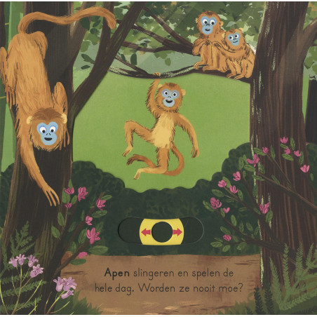 In de jungle - voor kleine ontdekkingsreizigers