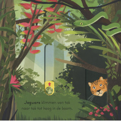 In de jungle - voor kleine ontdekkingsreizigers