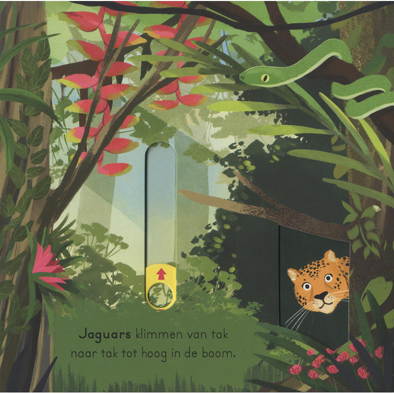 In de jungle - voor kleine ontdekkingsreizigers