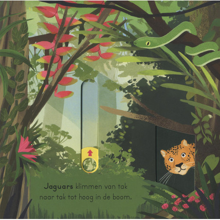 In de jungle - voor kleine ontdekkingsreizigers