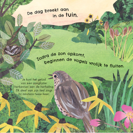 24 unieke vogelgeluiden & liedjes