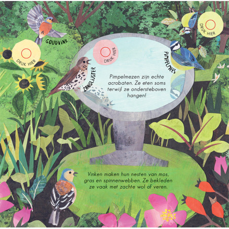 24 unieke vogelgeluiden & liedjes