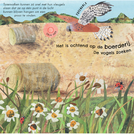 24 unieke vogelgeluiden & liedjes