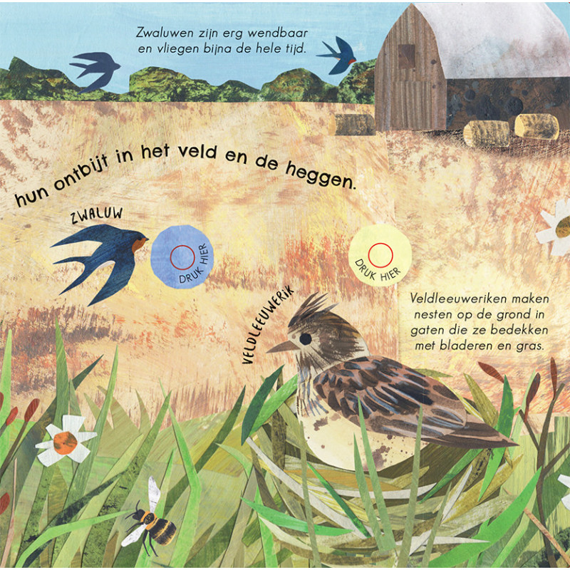 24 unieke vogelgeluiden & liedjes