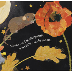 Uil houdt van jou