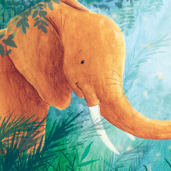 Jij bent alles voor mij