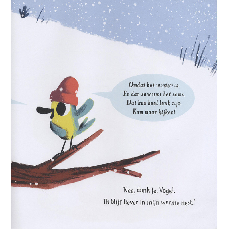 De sneeuwdief