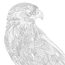 Kleurboek Millie Marotta - Wonderlijke wildernis